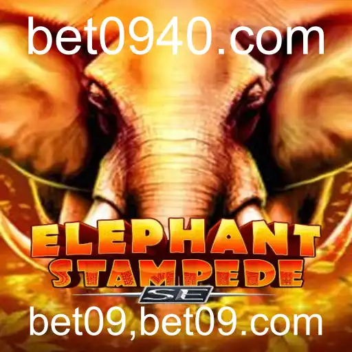 Descubra o Desafio e Emoção do ElephantStampedeSE